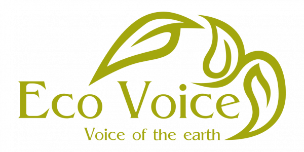 Eco Voice Logo